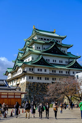 castlenagoya